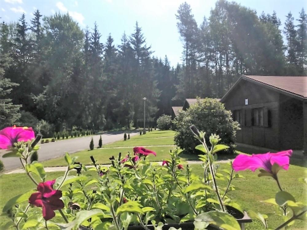 Camping La Provence Hotel Velka Hledsebe Kültér fotó